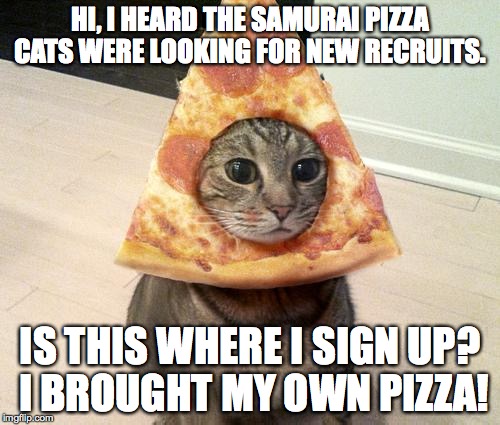 Pizza Cat | HI, I HEARD THE SAMURAI PIZZA CATS WERE LOOKING FOR NEW RECRUITS. IS THIS WHERE I SIGN UP? I BROUGHT MY OWN PIZZA! | image tagged in pizza cat,samurai,samurai pizza cats | made w/ Imgflip meme maker