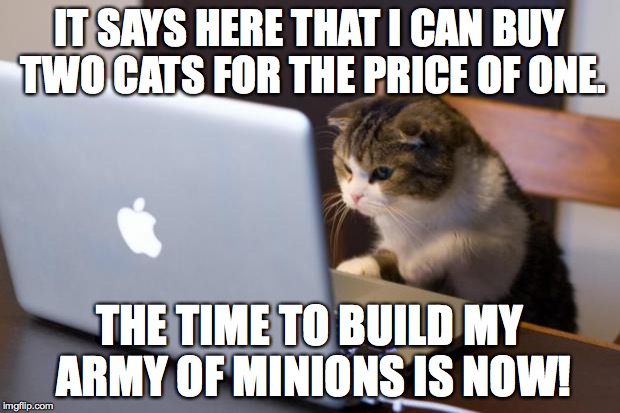 Online Shopping | IT SAYS HERE THAT I CAN BUY TWO CATS FOR THE PRICE OF ONE. THE TIME TO BUILD MY ARMY OF MINIONS IS NOW! | image tagged in cat using computer,cat army,cats | made w/ Imgflip meme maker