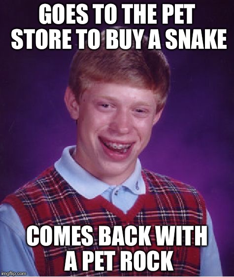 Bad Luck Brian Meme | GOES TO THE PET STORE TO BUY A SNAKE COMES BACK WITH A PET ROCK | image tagged in memes,bad luck brian | made w/ Imgflip meme maker