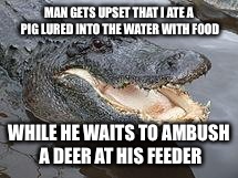 Alligator Wut | MAN GETS UPSET THAT I ATE A PIG LURED INTO THE WATER WITH FOOD WHILE HE WAITS TO AMBUSH A DEER AT HIS FEEDER | image tagged in alligator wut | made w/ Imgflip meme maker