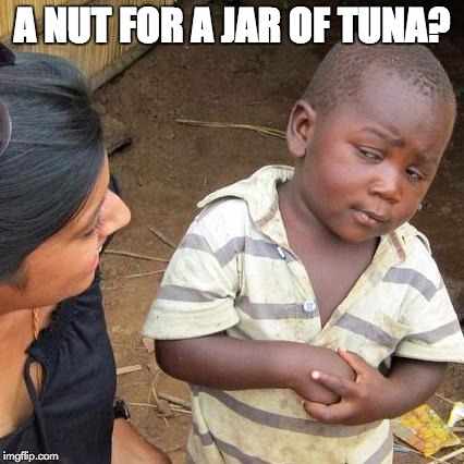 Third World Skeptical Kid Meme | A NUT FOR A JAR OF TUNA? | image tagged in memes,third world skeptical kid | made w/ Imgflip meme maker