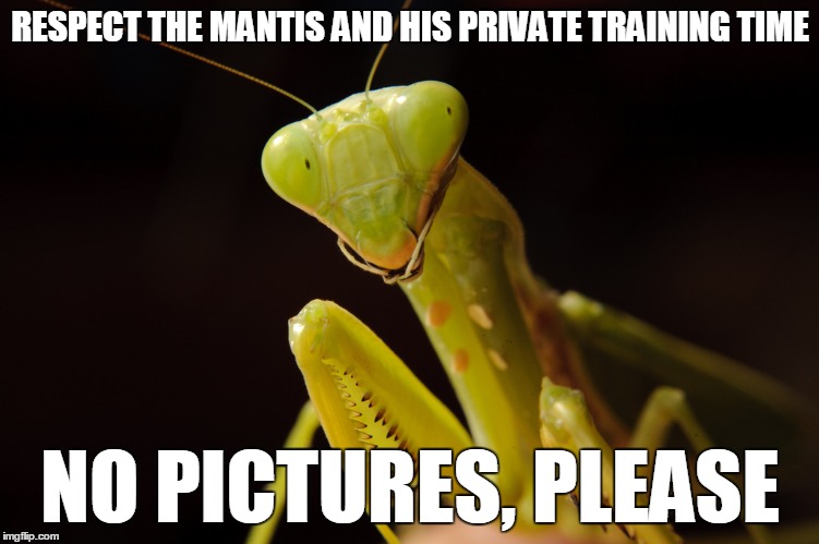 RESPECT THE MANTIS AND HIS PRIVATE TRAINING TIME NO PICTURES, PLEASE | made w/ Imgflip meme maker