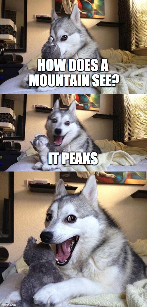 Bad Pun Dog Meme | HOW DOES A MOUNTAIN SEE? IT PEAKS | image tagged in memes,bad pun dog | made w/ Imgflip meme maker