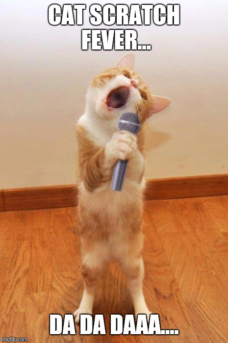 singingcat | CAT SCRATCH FEVER... DA DA DAAA.... | image tagged in singingcat | made w/ Imgflip meme maker
