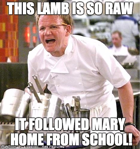 Chef Gordon Ramsay | THIS LAMB IS SO RAW IT FOLLOWED MARY HOME FROM SCHOOL! | image tagged in memes,chef gordon ramsay | made w/ Imgflip meme maker