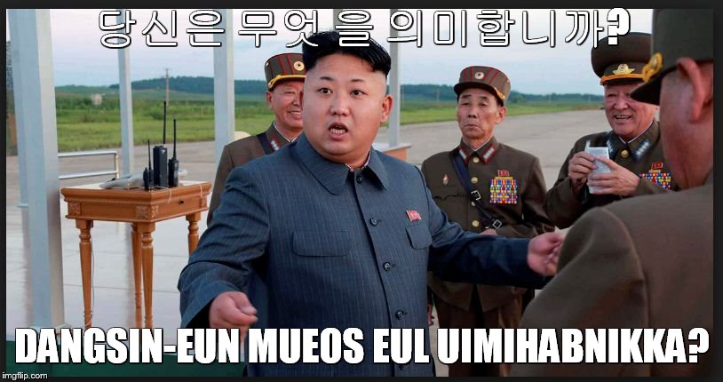 당신은 무엇 을 의미합니까? DANGSIN-EUN MUEOS EUL UIMIHABNIKKA? | image tagged in korea | made w/ Imgflip meme maker