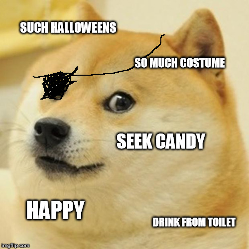 Halloween Doge | SUCH HALLOWEENS SO MUCH COSTUME SEEK CANDY HAPPY DRINK FROM TOILET | image tagged in memes,doge,halloween,pirate | made w/ Imgflip meme maker