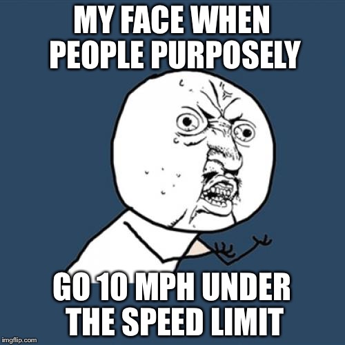 Y U No | MY FACE WHEN PEOPLE PURPOSELY GO 10 MPH UNDER THE SPEED LIMIT | image tagged in memes,y u no | made w/ Imgflip meme maker