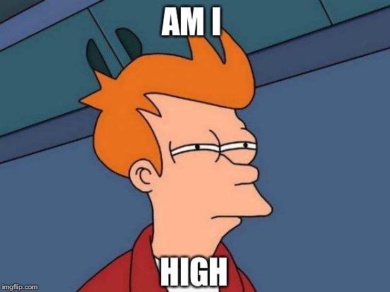 Futurama Fry | AM I HIGH | image tagged in memes,futurama fry | made w/ Imgflip meme maker