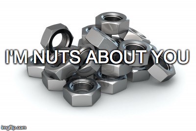 You put a hex nut on me... | I'M NUTS ABOUT YOU | image tagged in hex nut,nut,nuts about you | made w/ Imgflip meme maker