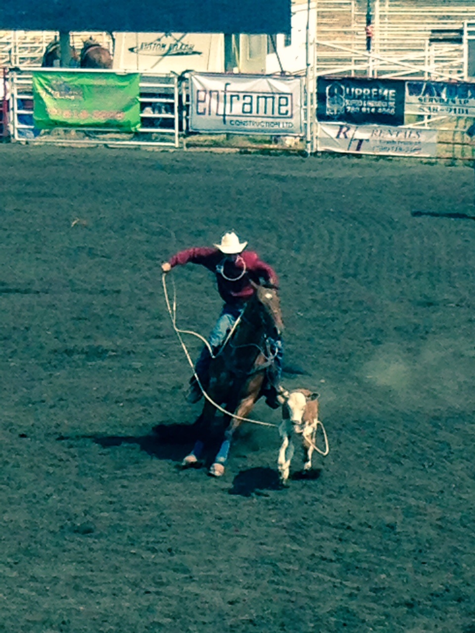 Calf Roping Blank Meme Template