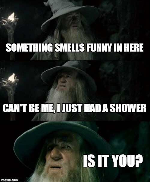 Gandolf Doesn't Want You to Take It Personally, But... | SOMETHING SMELLS FUNNY IN HERE CAN'T BE ME, I JUST HAD A SHOWER IS IT YOU? | image tagged in memes,confused gandalf | made w/ Imgflip meme maker