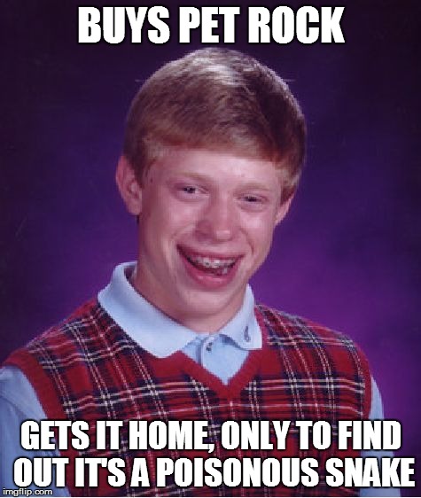Bad Luck Brian Meme | BUYS PET ROCK GETS IT HOME, ONLY TO FIND OUT IT'S A POISONOUS SNAKE | image tagged in memes,bad luck brian | made w/ Imgflip meme maker