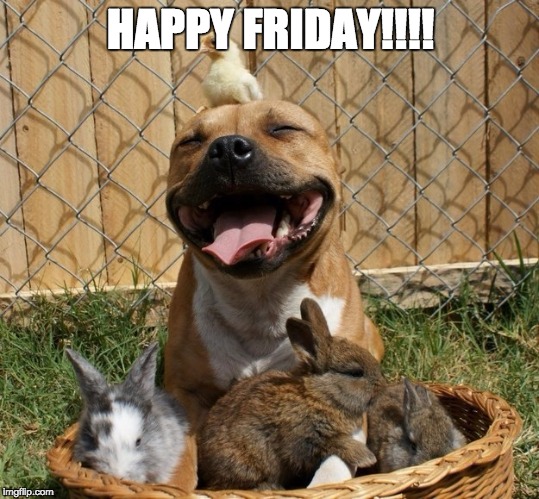 Happy Friday | HAPPY FRIDAY!!!! | image tagged in happy,friday,dog,bunny,smile | made w/ Imgflip meme maker