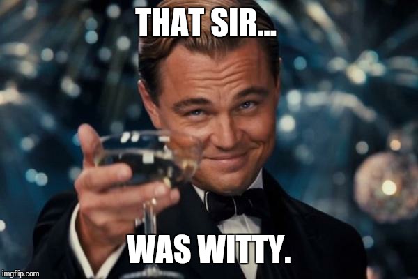 Leonardo Dicaprio Cheers Meme | THAT SIR... WAS WITTY. | image tagged in memes,leonardo dicaprio cheers | made w/ Imgflip meme maker