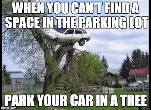 Secure Parking Meme | WHEN YOU CAN'T FIND A SPACE IN THE PARKING LOT PARK YOUR CAR IN A TREE | image tagged in memes,secure parking | made w/ Imgflip meme maker