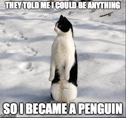 cat-penguin | THEY TOLD ME I COULD BE ANYTHING SO I BECAME A PENGUIN | image tagged in cat-penguin | made w/ Imgflip meme maker