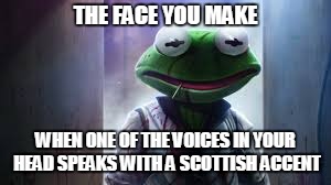 THE FACE YOU MAKE WHEN ONE OF THE VOICES IN YOUR HEAD SPEAKS WITH A SCOTTISH ACCENT | made w/ Imgflip meme maker