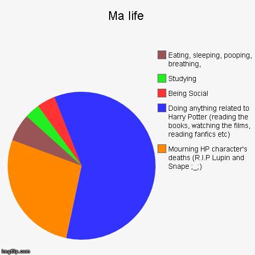 Ma life in a pie (chart) | image tagged in funny,pie charts,harry potter,snape | made w/ Imgflip chart maker