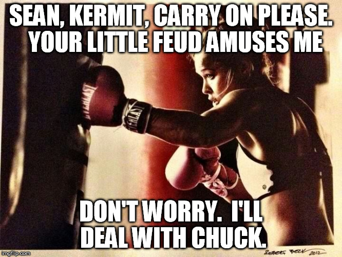 SEAN, KERMIT, CARRY ON PLEASE.  YOUR LITTLE FEUD AMUSES ME DON'T WORRY.  I'LL DEAL WITH CHUCK. | made w/ Imgflip meme maker