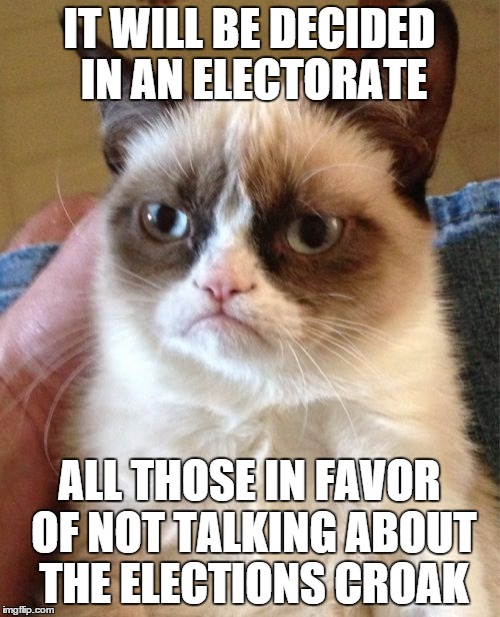 Grumpy Cat Meme | IT WILL BE DECIDED IN AN ELECTORATE ALL THOSE IN FAVOR OF NOT TALKING ABOUT THE ELECTIONS CROAK | image tagged in memes,grumpy cat | made w/ Imgflip meme maker