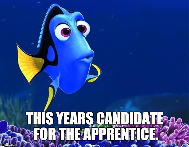 Dory | THIS YEARS CANDIDATE FOR THE APPRENTICE. | image tagged in dory | made w/ Imgflip meme maker