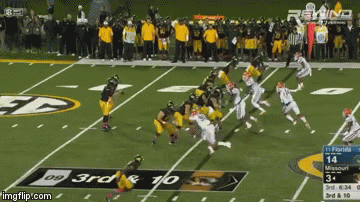 TaborPick6Mizzou | image tagged in gifs,gators | made w/ Imgflip video-to-gif maker