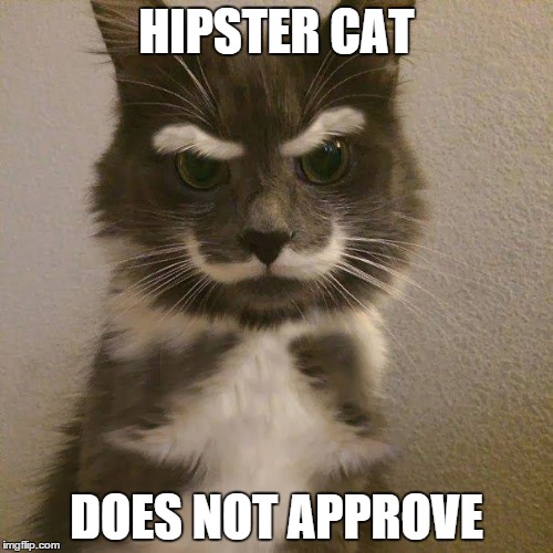 HIPSTER CAT DOES NOT APPROVE | image tagged in hipster cat | made w/ Imgflip meme maker