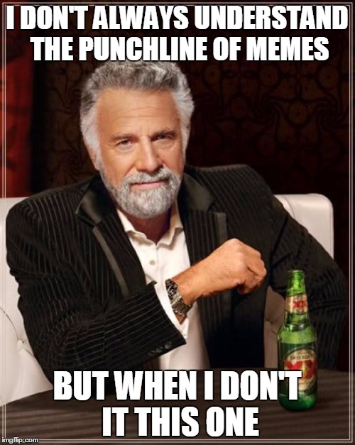 The Most Interesting Man In The World Meme | I DON'T ALWAYS UNDERSTAND THE PUNCHLINE OF MEMES BUT WHEN I DON'T IT THIS ONE | image tagged in memes,the most interesting man in the world | made w/ Imgflip meme maker