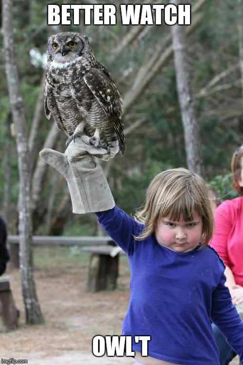 Owl Girl | BETTER WATCH OWL'T | image tagged in owl girl | made w/ Imgflip meme maker