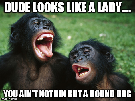 Bonobo Lyfe | DUDE LOOKS LIKE A LADY.... YOU AIN'T NOTHIN BUT A HOUND DOG | image tagged in memes,bonobo lyfe | made w/ Imgflip meme maker