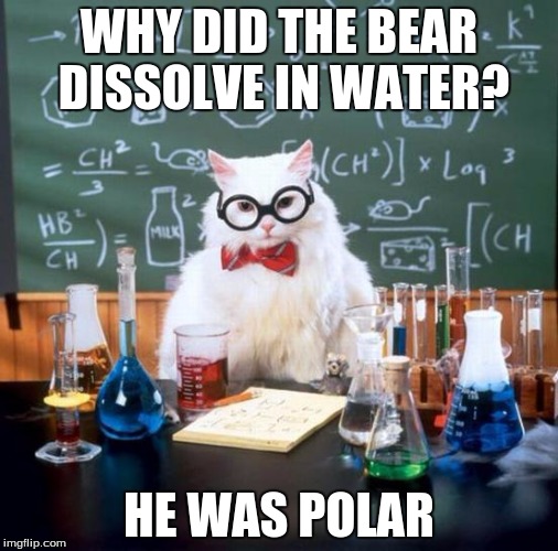 Chemistry Cat Meme | WHY DID THE BEAR DISSOLVE IN WATER? HE WAS POLAR | image tagged in memes,chemistry cat | made w/ Imgflip meme maker