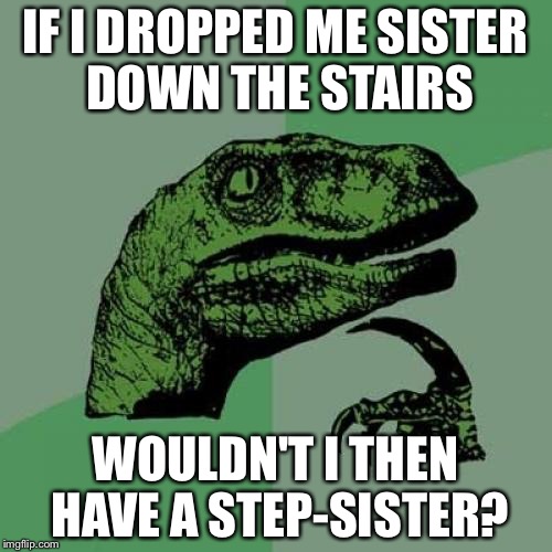 Stepping up your game | IF I DROPPED ME SISTER DOWN THE STAIRS WOULDN'T I THEN HAVE A STEP-SISTER? | image tagged in memes,philosoraptor,stupid,funny,sisters | made w/ Imgflip meme maker