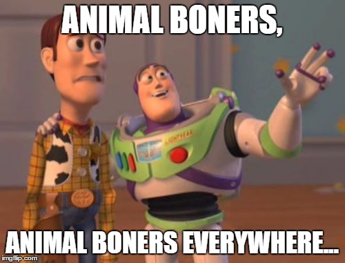 X, X Everywhere Meme | ANIMAL BONERS, ANIMAL BONERS EVERYWHERE... | image tagged in memes,x x everywhere | made w/ Imgflip meme maker