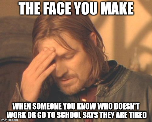 The Face You Make | THE FACE YOU MAKE WHEN SOMEONE YOU KNOW WHO DOESN'T WORK OR GO TO SCHOOL SAYS THEY ARE TIRED | image tagged in memes,frustrated boromir,funny,funny memes,hilarious | made w/ Imgflip meme maker