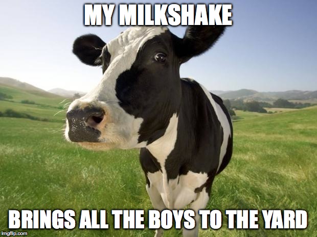 cow | MY MILKSHAKE BRINGS ALL THE BOYS TO THE YARD | image tagged in cow | made w/ Imgflip meme maker