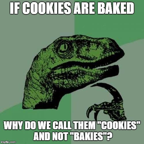 Philosoraptor Meme | IF COOKIES ARE BAKED WHY DO WE CALL THEM "COOKIES" AND NOT "BAKIES"? | image tagged in memes,philosoraptor | made w/ Imgflip meme maker