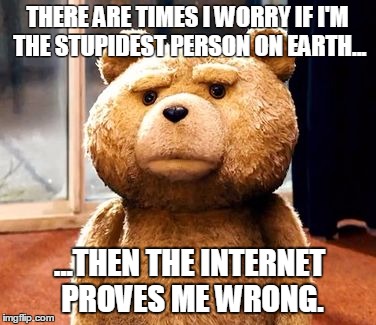 TED Meme | THERE ARE TIMES I WORRY IF I'M THE STUPIDEST PERSON ON EARTH... ...THEN THE INTERNET PROVES ME WRONG. | image tagged in memes,ted | made w/ Imgflip meme maker