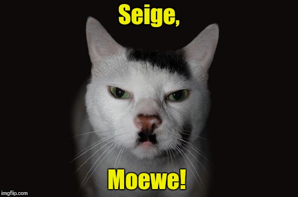 Hitler cat | Seige, Moewe! | image tagged in hitler cat | made w/ Imgflip meme maker