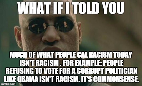 Matrix Morpheus Meme | WHAT IF I TOLD YOU MUCH OF WHAT PEOPLE CAL RACISM TODAY ISN'T RACISM . FOR EXAMPLE: PEOPLE REFUSING TO VOTE FOR A CORRUPT POLITICIAN LIKE OB | image tagged in memes,matrix morpheus | made w/ Imgflip meme maker