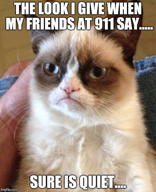 Grumpy Cat | THE LOOK I GIVE WHEN MY FRIENDS AT 911 SAY..... SURE IS QUIET.... | image tagged in memes,grumpy cat | made w/ Imgflip meme maker
