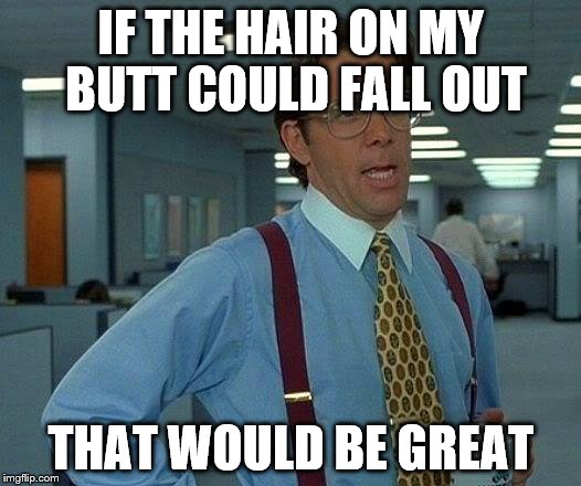 That Would Be Great Meme | IF THE HAIR ON MY BUTT COULD FALL OUT THAT WOULD BE GREAT | image tagged in memes,that would be great | made w/ Imgflip meme maker