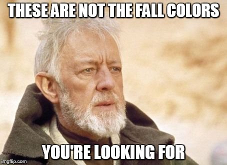 Obi Wan Kenobi | THESE ARE NOT THE FALL COLORS YOU'RE LOOKING FOR | image tagged in memes,obi wan kenobi | made w/ Imgflip meme maker