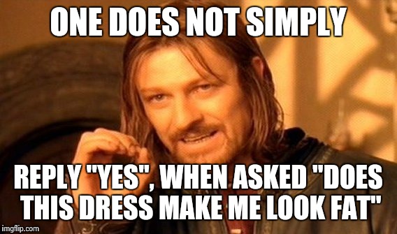 One Does Not Simply | ONE DOES NOT SIMPLY REPLY "YES", WHEN ASKED "DOES THIS DRESS MAKE ME LOOK FAT" | image tagged in memes,one does not simply | made w/ Imgflip meme maker