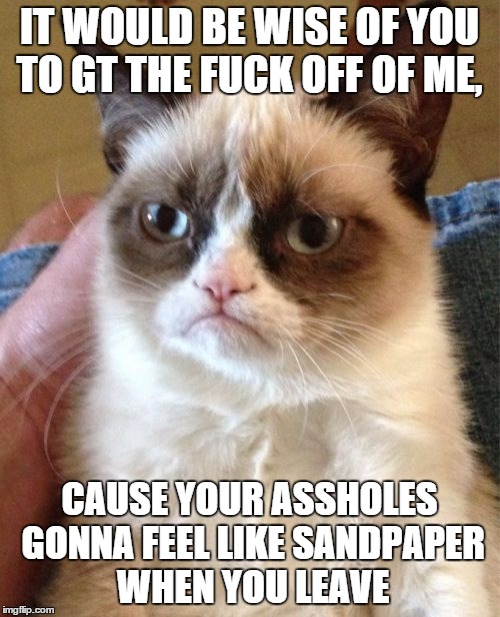 Grumpy Cat Meme | IT WOULD BE WISE OF YOU TO GT THE F**K OFF OF ME, CAUSE YOUR ASSHOLES GONNA FEEL LIKE SANDPAPER WHEN YOU LEAVE | image tagged in memes,grumpy cat | made w/ Imgflip meme maker