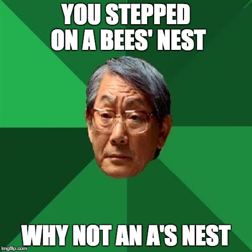 High Expectations Asian Father Meme | YOU STEPPED ON A BEES' NEST WHY NOT AN A'S NEST | image tagged in memes,high expectations asian father | made w/ Imgflip meme maker