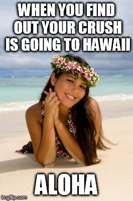 Your crush isn't ever alone... | WHEN YOU FIND OUT YOUR CRUSH IS GOING TO HAWAII ALOHA | image tagged in hawaii,crush,overly attached,overly obsessive,obsessed | made w/ Imgflip meme maker