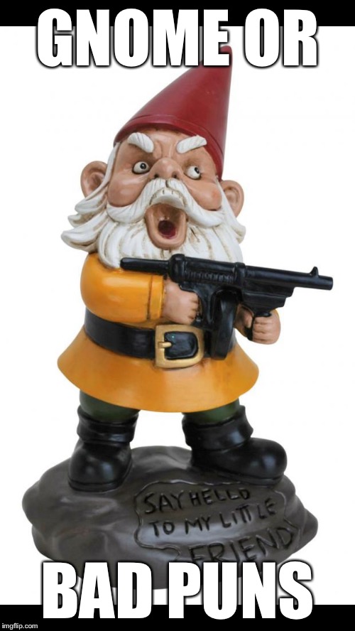 Angry Gnome | GNOME OR BAD PUNS | image tagged in angry gnome,memes | made w/ Imgflip meme maker