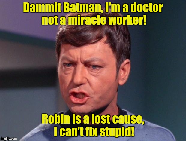 McCoy | Dammit Batman, I'm a doctor not a miracle worker! Robin is a lost cause, I can't fix stupid! | image tagged in mccoy | made w/ Imgflip meme maker