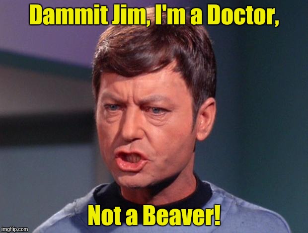 McCoy | Dammit Jim, I'm a Doctor, Not a Beaver! | image tagged in mccoy | made w/ Imgflip meme maker